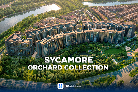 SYCAMORE ORCHARD COLLECTION
